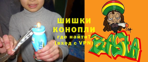 МДПВ Богородск