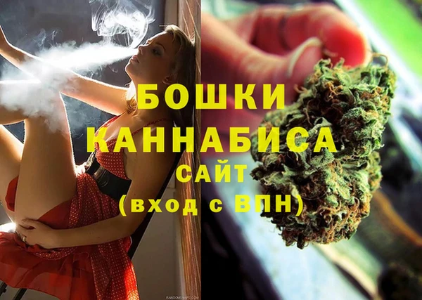 МДПВ Богородск
