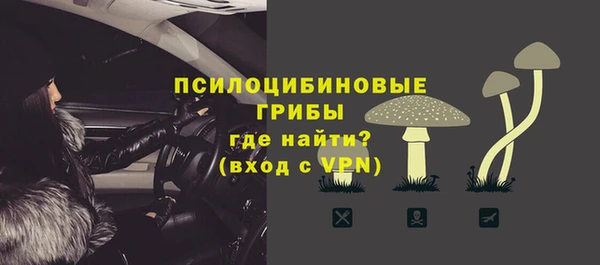 МДПВ Богородск