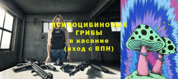 МДПВ Богородск