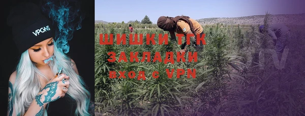 МДПВ Богородск